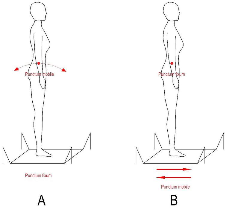 A – conventional training system; B – reactive balance training.