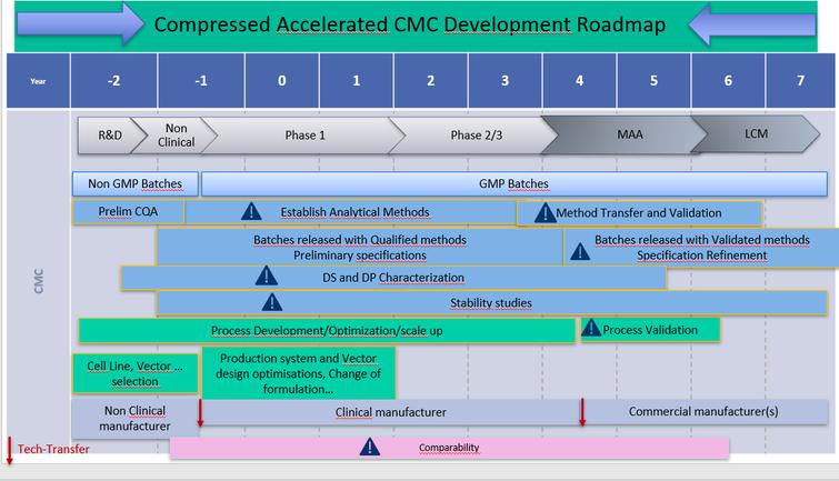 Accelerated CMC development.