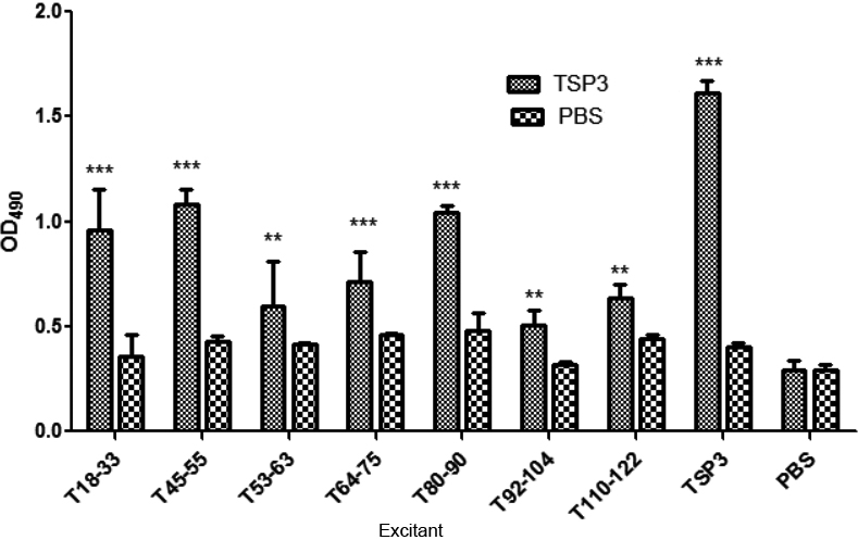 The proliferation of specific B lymphocytes in mice immunized with thrombospondin 3. P*⁣**< 0.001.