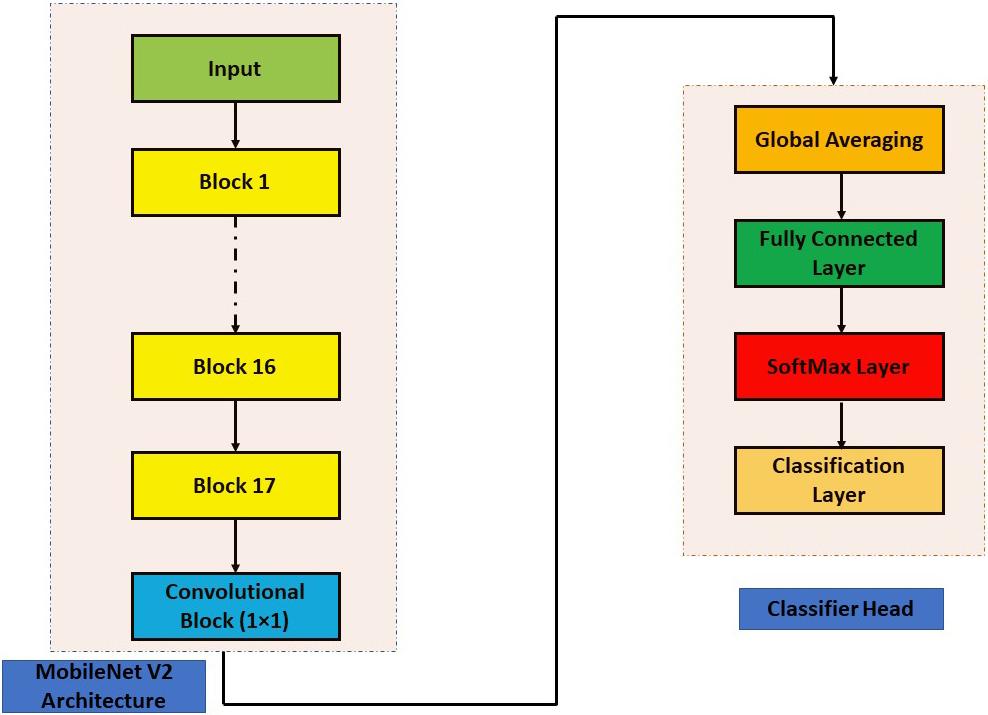 MobileNet V2 architecture for classification.