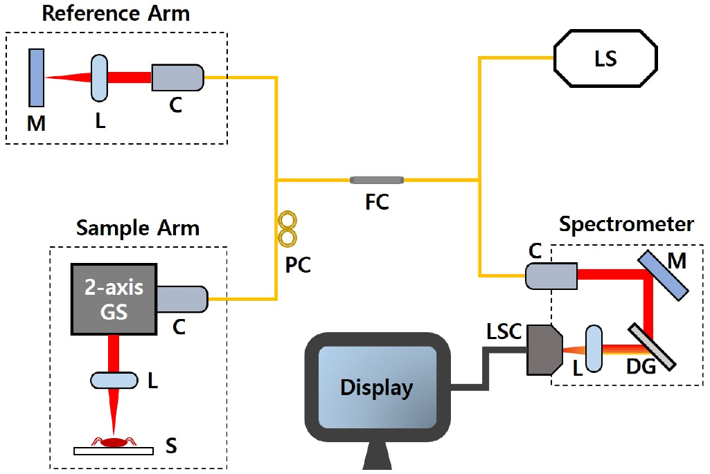 A schematic diagram of the developed spectral-domain optical coherence tomography (SD-OCT) system. C: collimator, DG: diffraction grating, FC: fiber coupler, GS: Galvano scanner, L: lens, LS: light source, LSC: line scan camera, M: mirror, PC: polarization controller, S: sample.