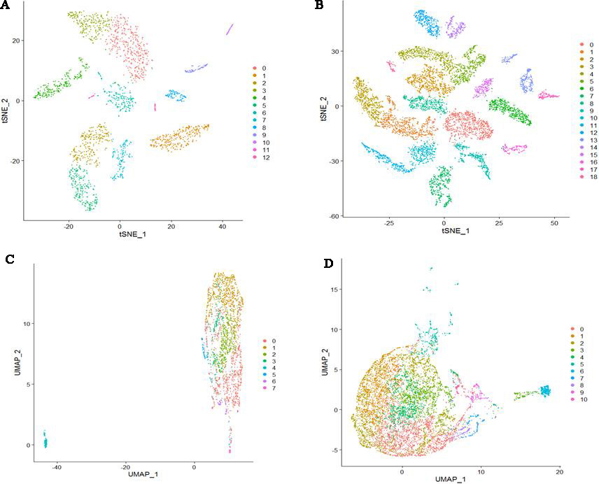 Cell clusters based on four datasets. (A) Cells were clustered into 13 clusters based on COPD mRNAs dataset (B) Cells were clustered into 19 clusters based on mRNAs dataset of controls. (C) Cells were clustered into 8 clusters based on COPD lncRNAs dataset (D) Cells were clustered into 11 clusters based on lncRNAs dataset of controls. 