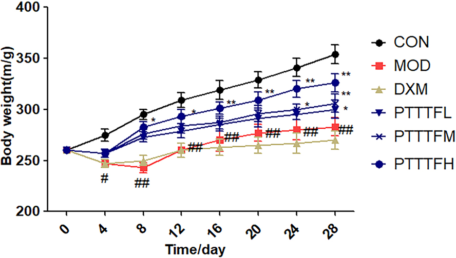 The effect of PTTTF on weight in rats with adjuvant arthritis. The number of samples in each group was 10. All data represent the mean ± SD. Compared with control group, # P< 0.05, ## P< 0.01; compared with model group, P*< 0.05, P**< 0.01. CON: Control group, MOD: Model group, DXM: Positive group, PTTTFL: PTTTF low dose group, PTTTFM: PTTTF medium dose group, PTTTFH: PTTTF high dose group.
