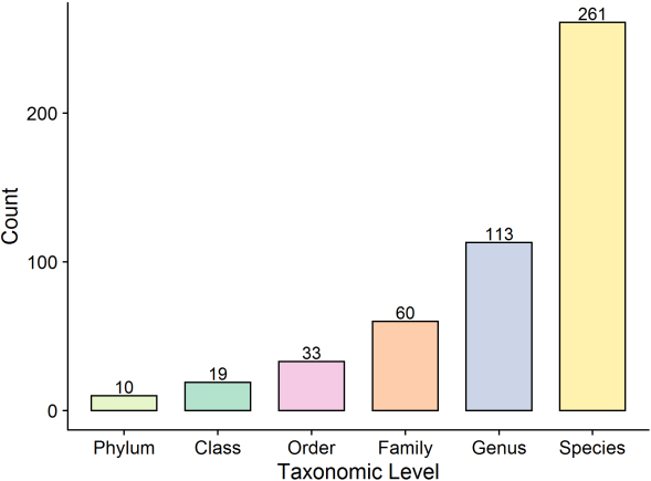 Protein count of taxonomic levels.