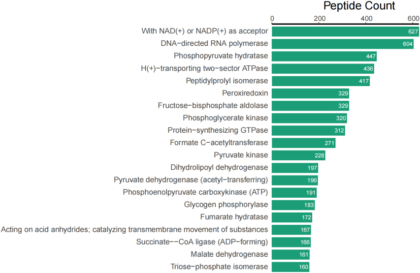 Top 20 of peptide counts related to enzymes.