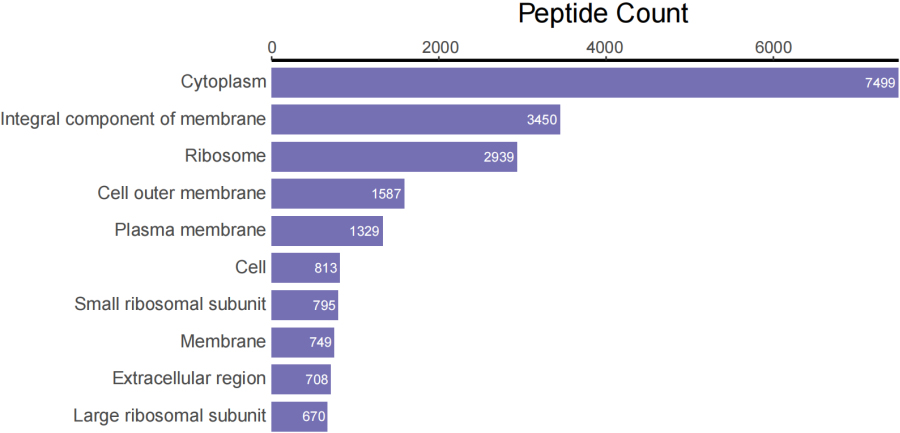 Top 10 peptide counts related to GOCC terms.