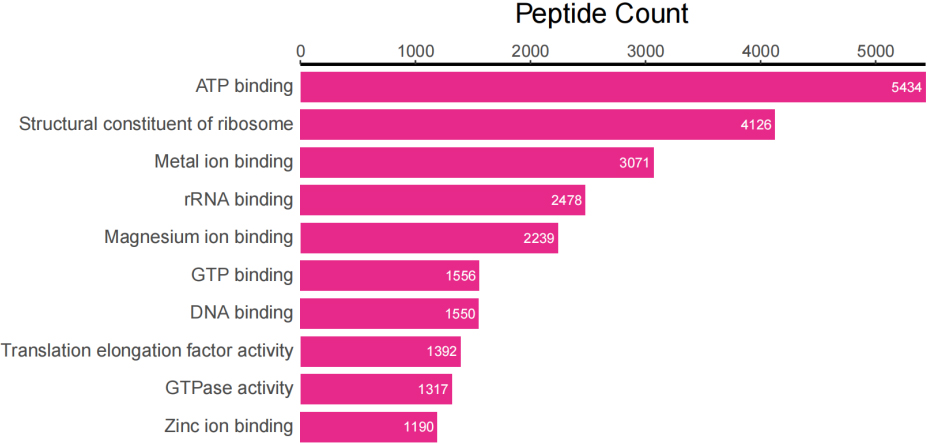 Top 10 peptide counts related to GOMF terms.