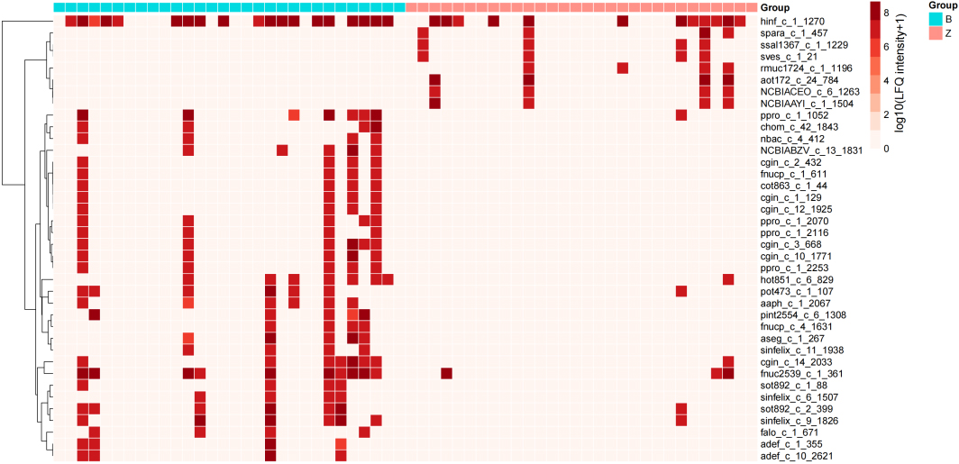 Heatmap of DEPs. Row clustering includes Manhattan distance and complete linkage. 