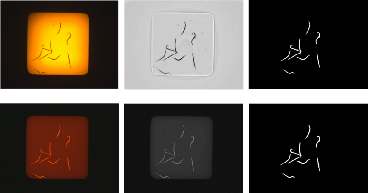 The pipeline of the process of bright field and dark field experimental images (2.5X, Inverted ZEISS Observer.Z1). The first row is the processing flow of bright field experimental image. The second row is the processing flow of dark field experiment image.