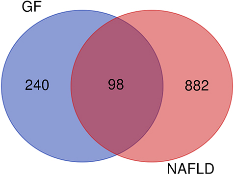 The Venn diagram of the common genes between GF and NAFLD (blue part marks the unique genes of GF, red part marks the unique genes of NAFLD, and the purple part is the common genes).