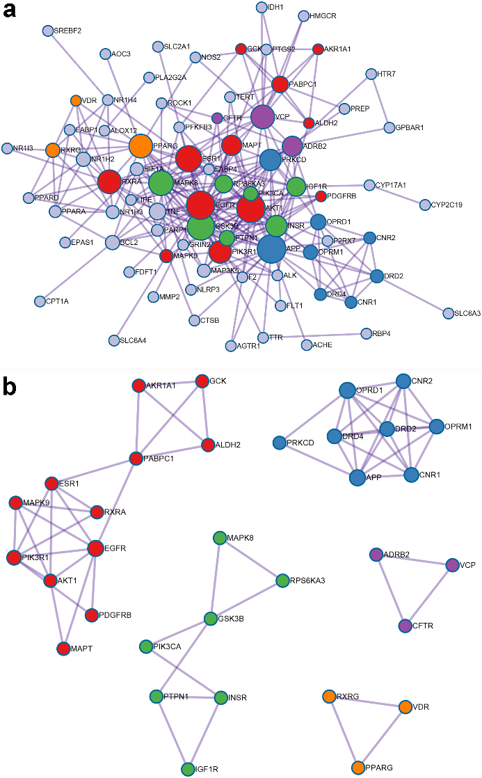 PPI network of potential target-genes of GF in the treatment of NAFLD (a is PPI network, b is densely linked modules of PPI network; line represents the interaction relationship, nodes represent the target-genes; node size is proportional to its degree in the network, and red belongs to the module of response to reactive oxygen species, blue belongs to the module of G protein coupled receptor transport regulation, green belongs to the module of cell response to insulin stimulation, purple belongs to the module of protein modification regulation, orange belongs to the module of nuclear receptor activity).