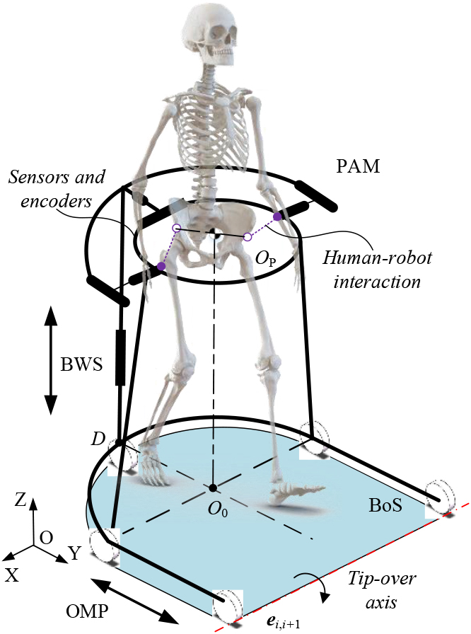 Conceptualized design of the robotic walker. The OMP represents the omni-directional mobile platform, BWS represents the body weight support system and PAM represents the pelvic assist mechanism. The BoS is the boundary of support.
