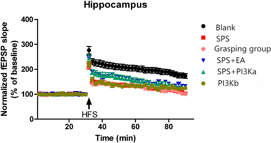 The effect of EA on LTP. We set the mean value of the basal fEPSP before high frequency stimulation (HFS) as the baseline value (100%) and observed the fEPSP at each time point before and after HFS as well as changes in hippocampal LTP (and the effect of EA on LTP). These values in the control, SPS, and SPS + restraint groups were compared with those of the PI3Ki and PI3Ka groups (n= 5). As shown in Fig. 6, the average values of the EPSP slopes over time were analysed with the Wilcoxon signed-rank test for comparisons within groups and the Mann-Whitney U test for comparisons among groups; p< 0.05 was considered statistically significant.