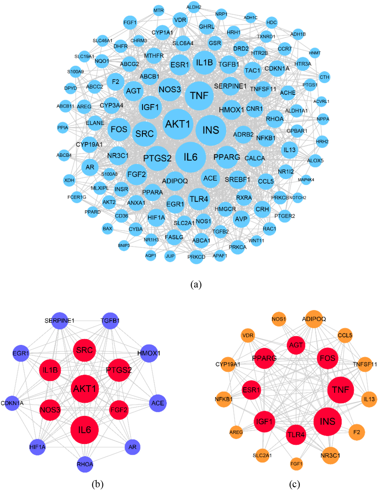 The PPI network of the CSP-FD targets. (a) The PPI network from STRING was analyzed using Cytoscape software. The MCODE was used to analyze critical modules in the PPI network in (b) Module 1 and (c) Module 2. 