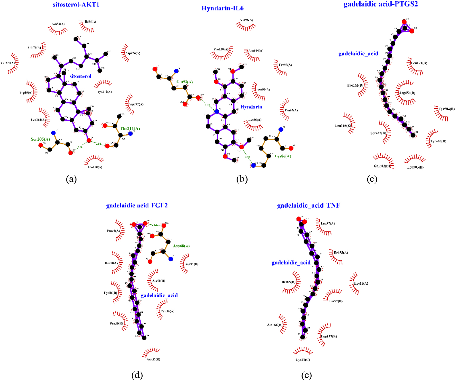 Molecular docking 2D-structure diagrams. (a) sitosterol-AKT1, (b) Hyndarin-IL6, (c) gadelaidic-FGF2, (d) gadelaidic-PTGS2, (e) gadelaidic-TNF.