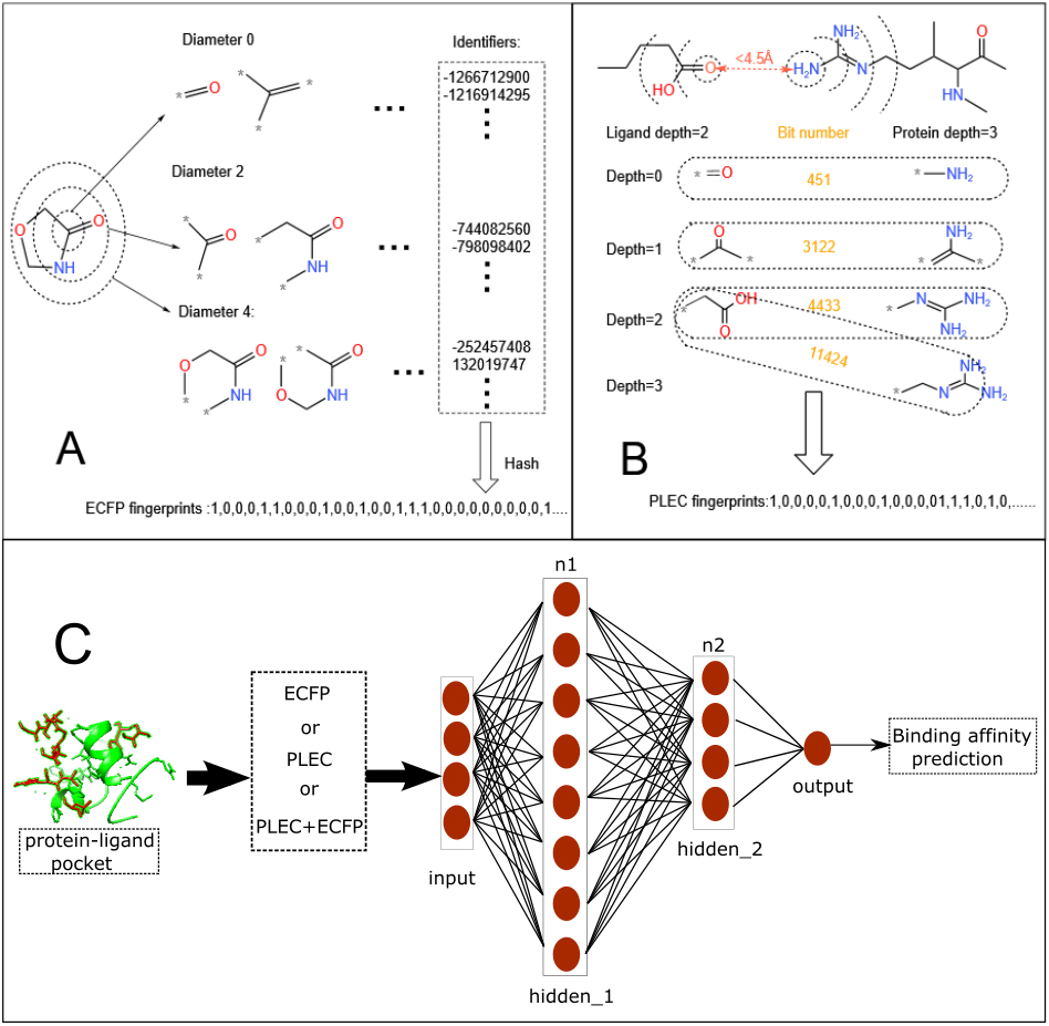 Constructions of the ECFP (A) and PLEC (B) fingerprints. (C) Neural network architecture for the molecular fingerprints-based protein-ligand binding affinity prediction.