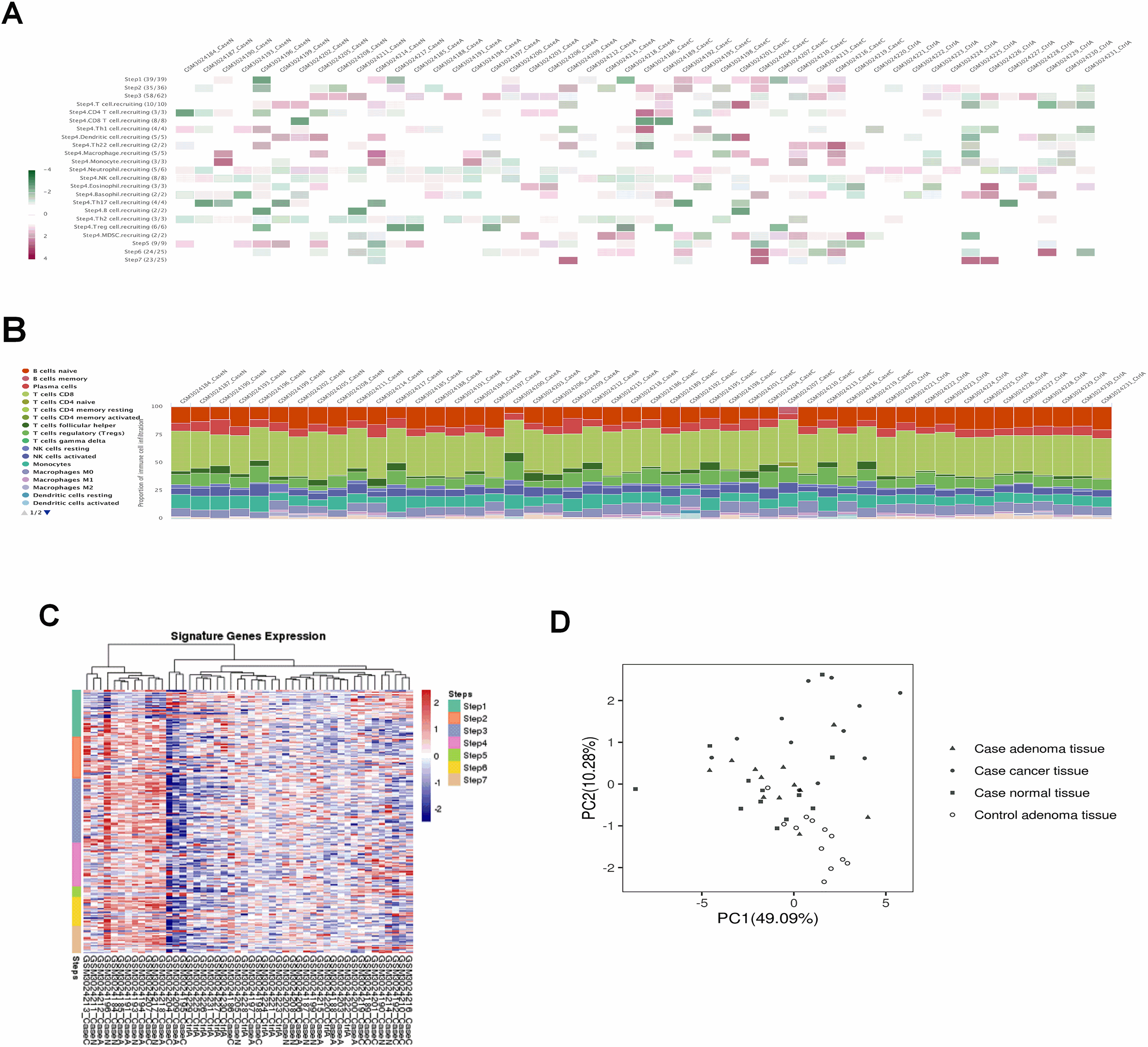 Global visualization of the immunophenotype across samples from TCGA. (A) The heatmap of 23 normalized immune activity scores in 48 samples. (B) The relative proportion of tumor-infiltrating immune cells. (C) Left, the expression pattern of signature genes from the seven-step cancer-immunity cycle. Each row represents a single gene, and each column represents one sample. Right, the principal component analysis (PCA) of signature genes expression for all samples.