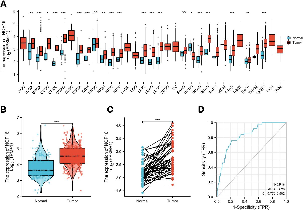 Expression levels of NOP16 in different types of tumours and LIHC. Expression of NOP16 (A) in different types of tumours compared to normal tissues in TCGA and GTEx databases, (B) in LIHC and non-matched normal tissues in the TCGA and GTEx databases, (C) in LIHC and matched normal tissues in the TCGA and GTEx databases. (D) ROC curves for classifying LIHC versus normal tissues in the TCGA database.