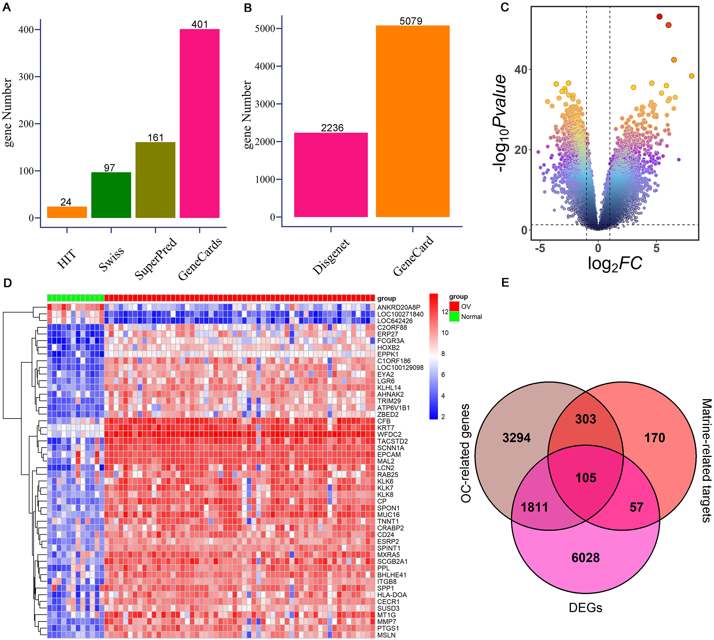 Identification of potential targets of matrine against OC. (A) The possible targets of matrine are from HIT, SwissTargetPrediction, SuperPred, and GeneCards databases, respectively. (B) OC-related genes were obtained from the GeneCards and DisGeNET online websites, respectively. (C) Volcanic map of DEGs in GSE66957 cohort. (D) Heat map of the expression levels of DEGs between OC cases and controls from GSE66957 cohort. Blue represents down-regulation, and red represents up-regulation. (E) Venn diagram shows 105 interacting genes among OC-related genes, targets of matrine, and DEGs. OC: ovarian cancer; DEGs: differentially expressed genes. 