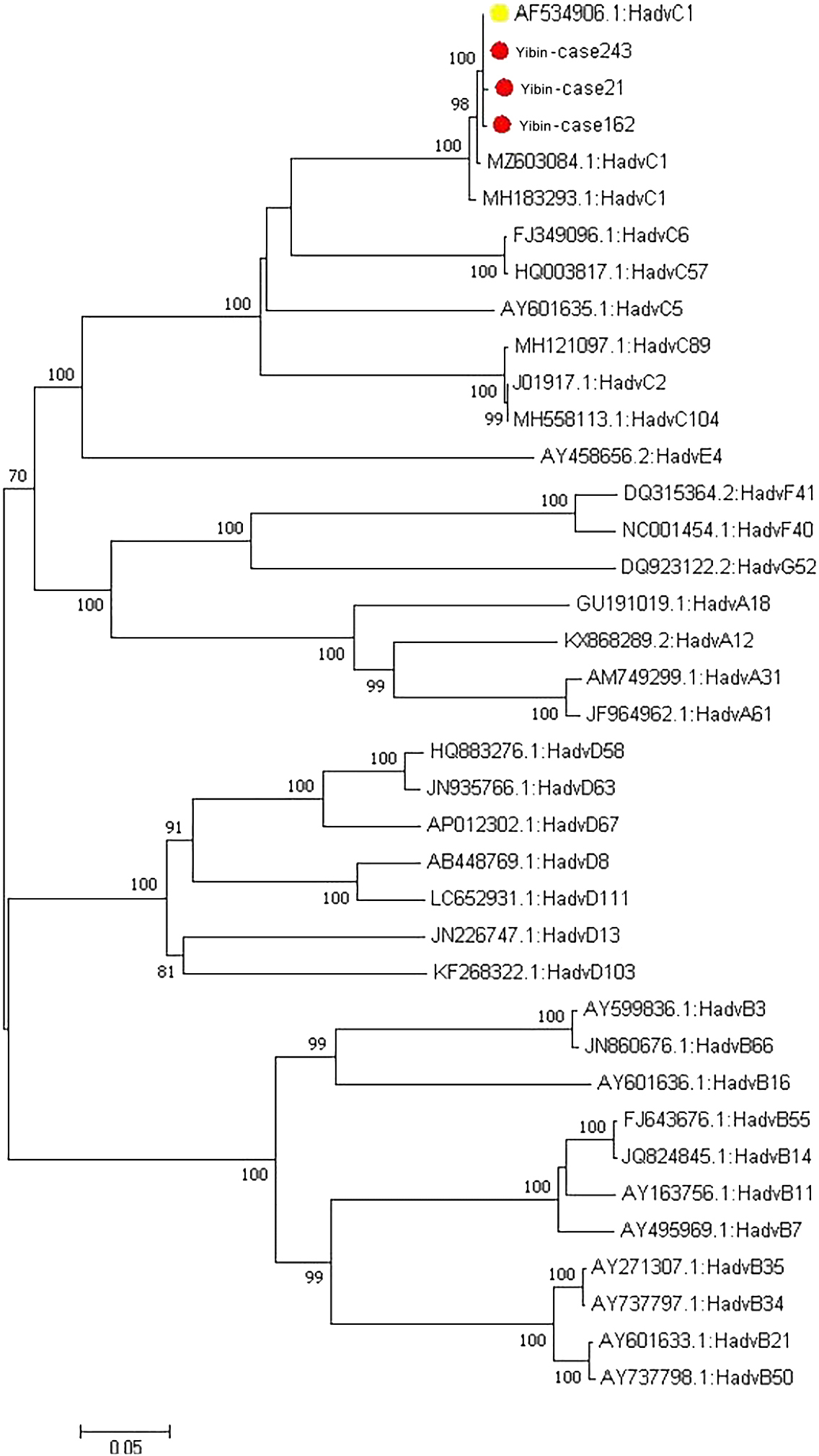 Adenovirus friber gene sequencing results.