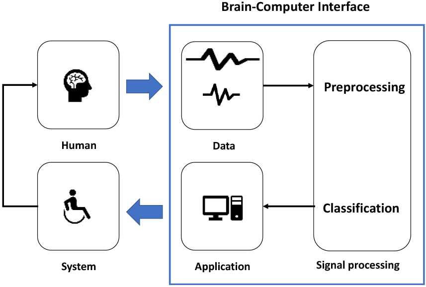 A fundamental stable signal processing block diagram in brain computer interface systems.