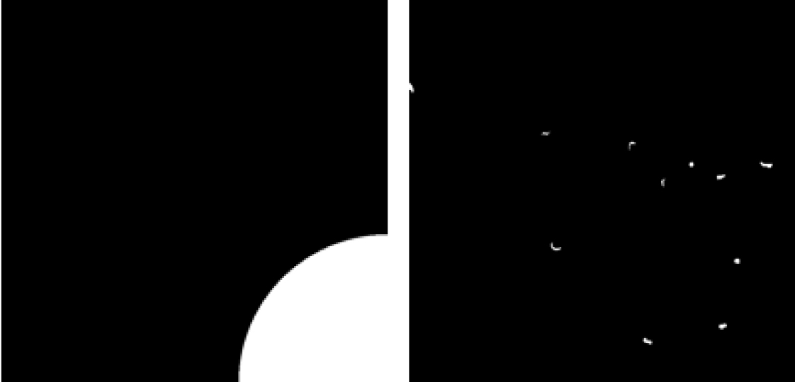 The left panel is an example of the results of automatically identifying different regions in the captured experimental image; The right panel is an example of the results of identifying nematodes from experimental images.