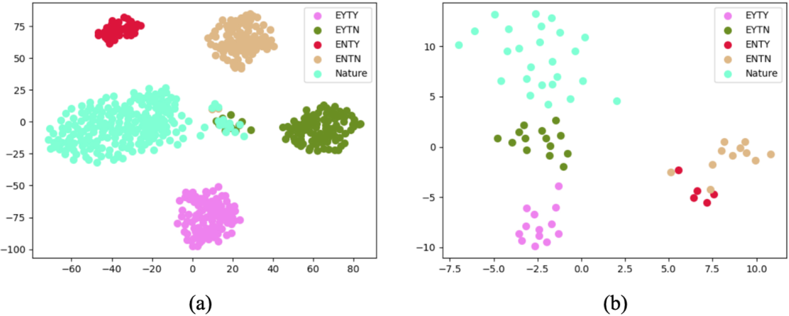 Visualization of learned representations using t-SNE. (a) represents the train set (b) represents the test set. Different colored dots indicate the distribution of features in various categories via deep learning. Features within the same category are relatively proximate, while those in different categories have a certain distance.