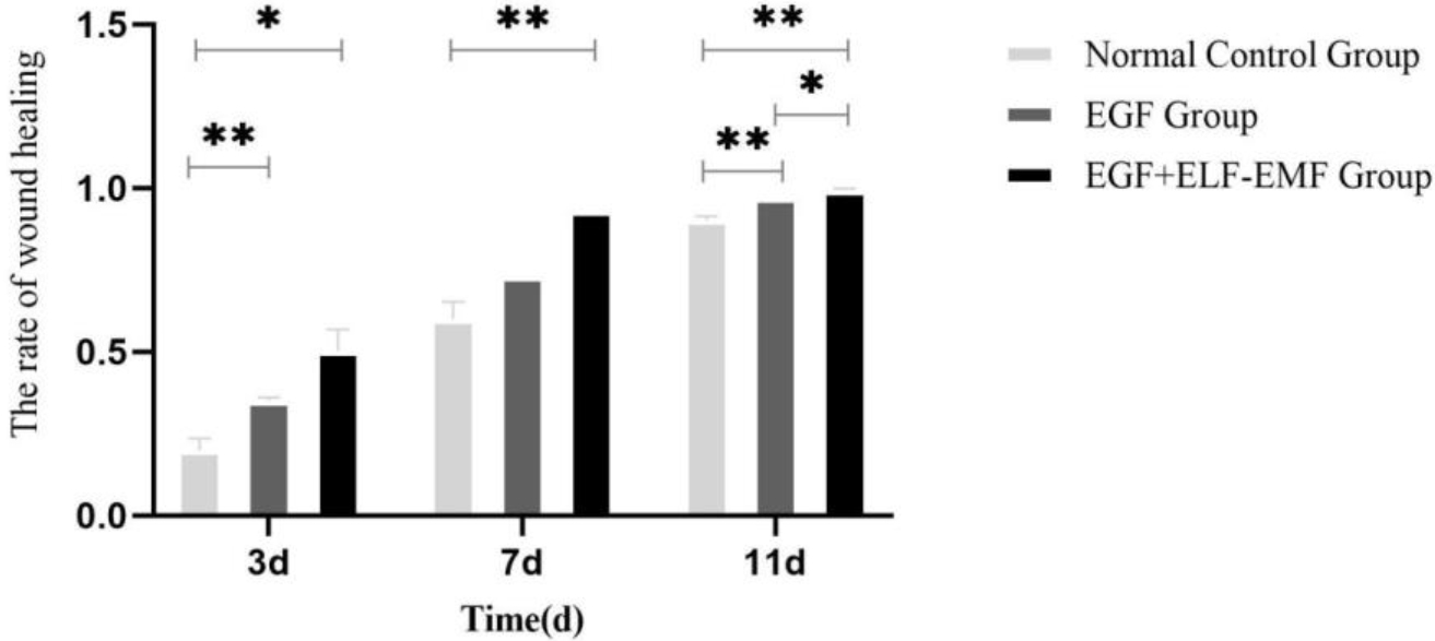 Wound healing rate of different experimental groups.