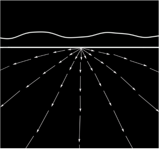 Optical flow stimuli.