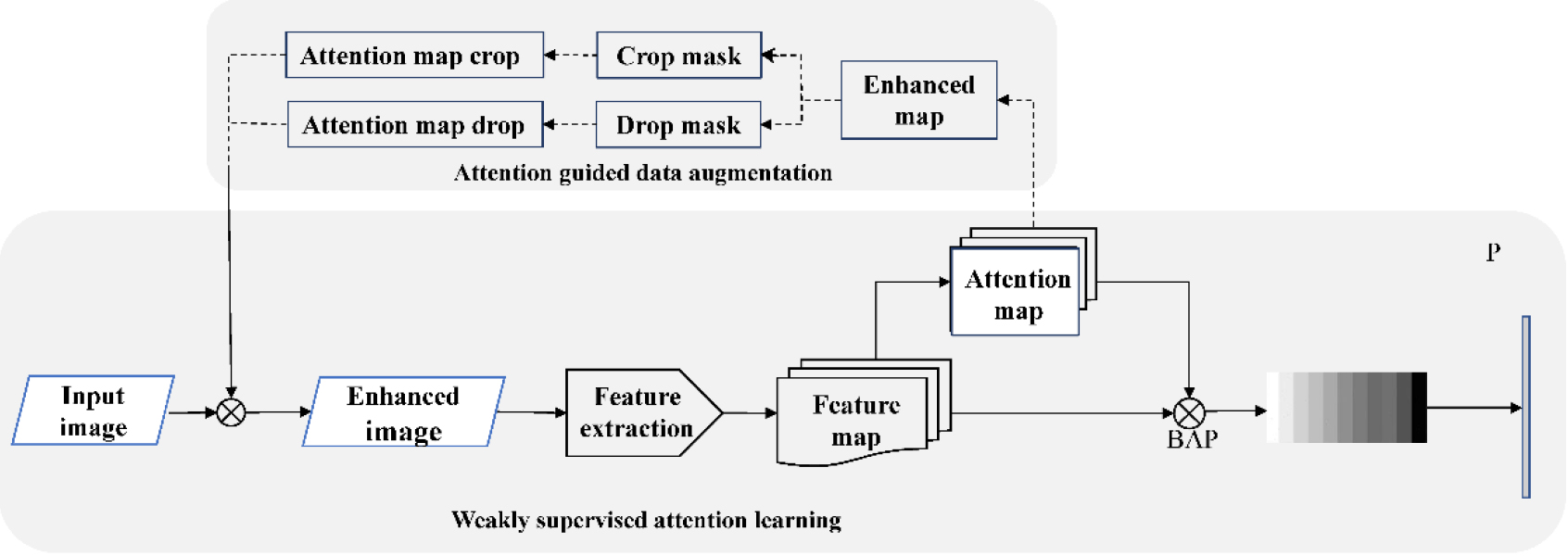 Architecture of WSDAN.