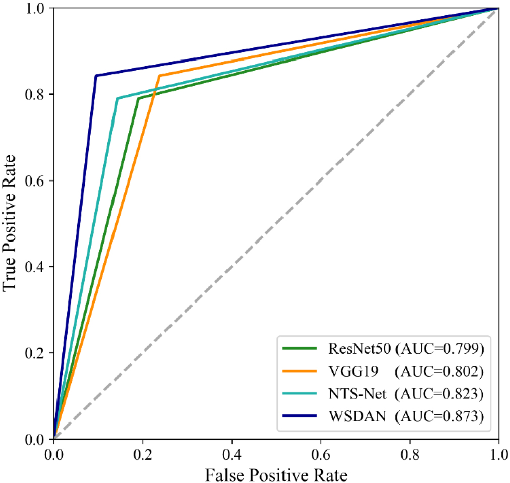 Comparison of ROC for different models.