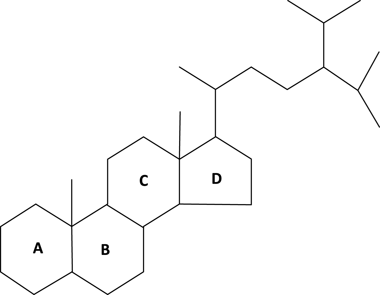 C30-desmethylsteranes. Note: C-24 isopropyl side chain, no double bonds and loss of 3ß-hydroxyl moiety. Adapted from Love et al. [1]. Molecule derived from demosponges over 635 million years ago (MYA).