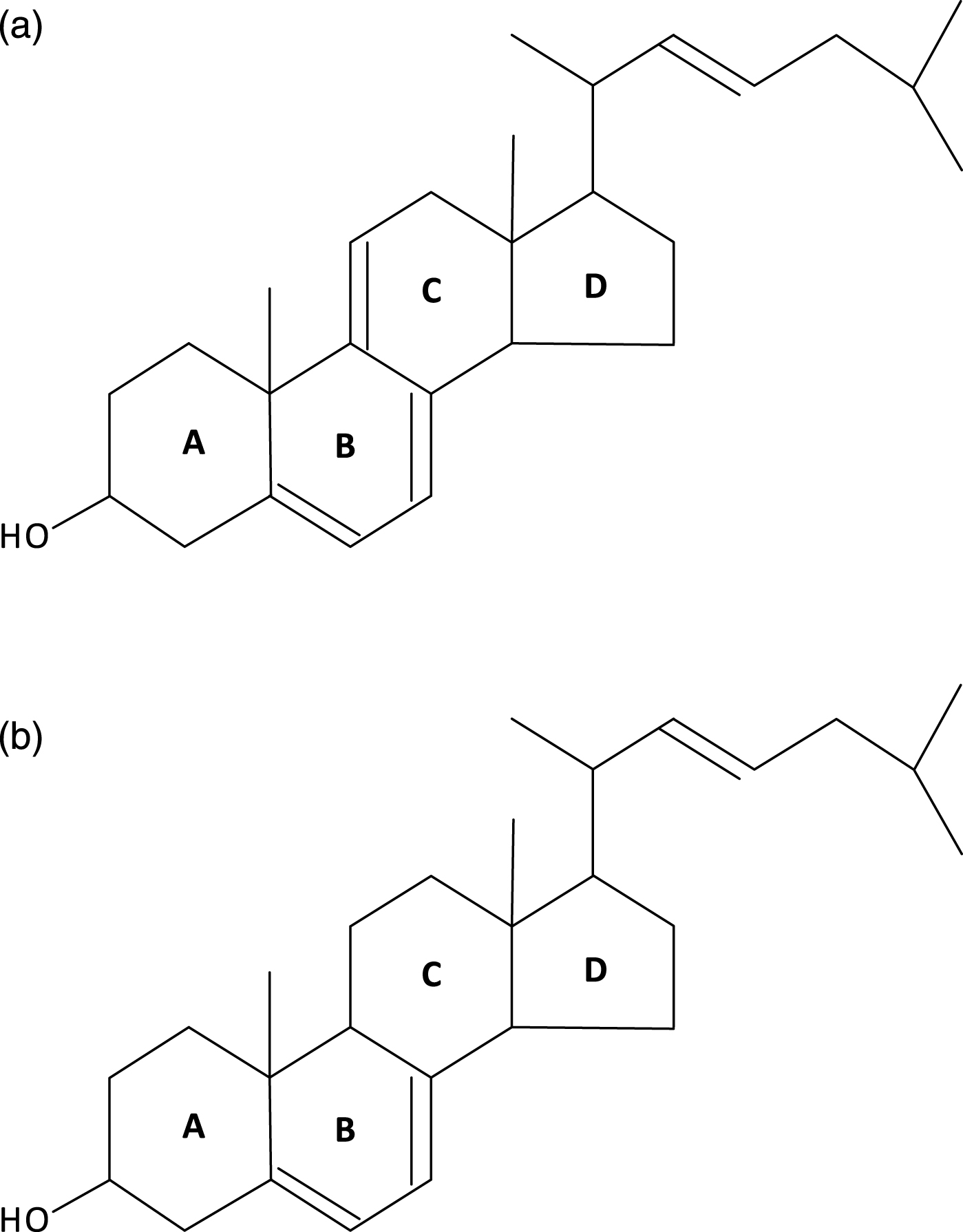 a: Compound b in Fig. 1 of Kodner et al. [3]: C27 :4 Cholesta 5,7,9(11)-22-tetraene-3ßol. b: Compound c in Fig. 1 of Kodner et al. [3]: C27 :3 Cholesta, 5,7,22triene-3ßol, two molecules synthesized by the phylogenetically ancient choanoflagellate Monosiga brevicollis. Ergosterol (see Fig. 4) is the second most common sterol in choanoflagellates; hence, M. brevicollis must have a C-24 sterol-methyl transferase.