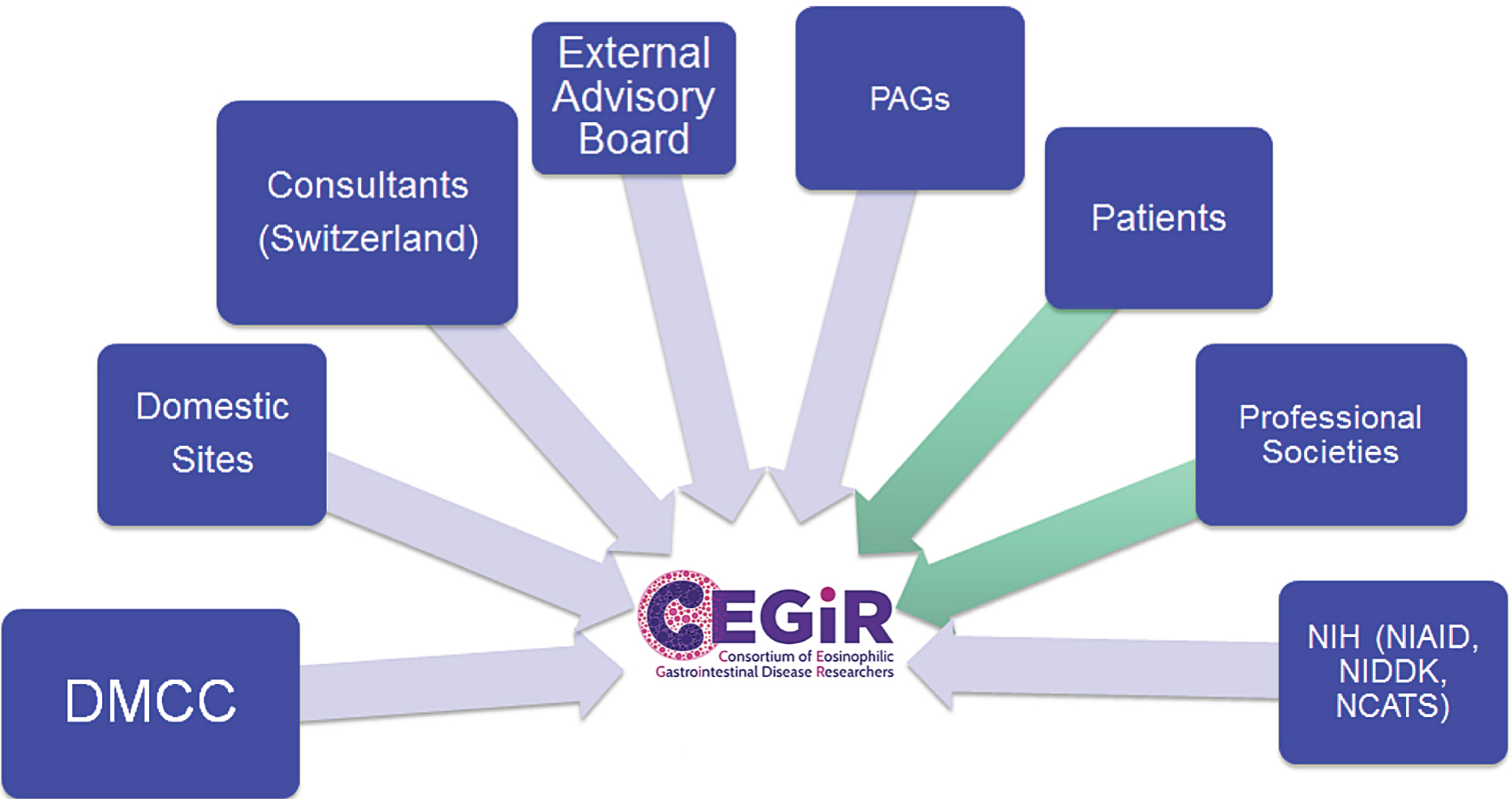 CEGIR Emblem: The C is in the shape of a nucleus of an eosinophil, which defines this group of disorders.