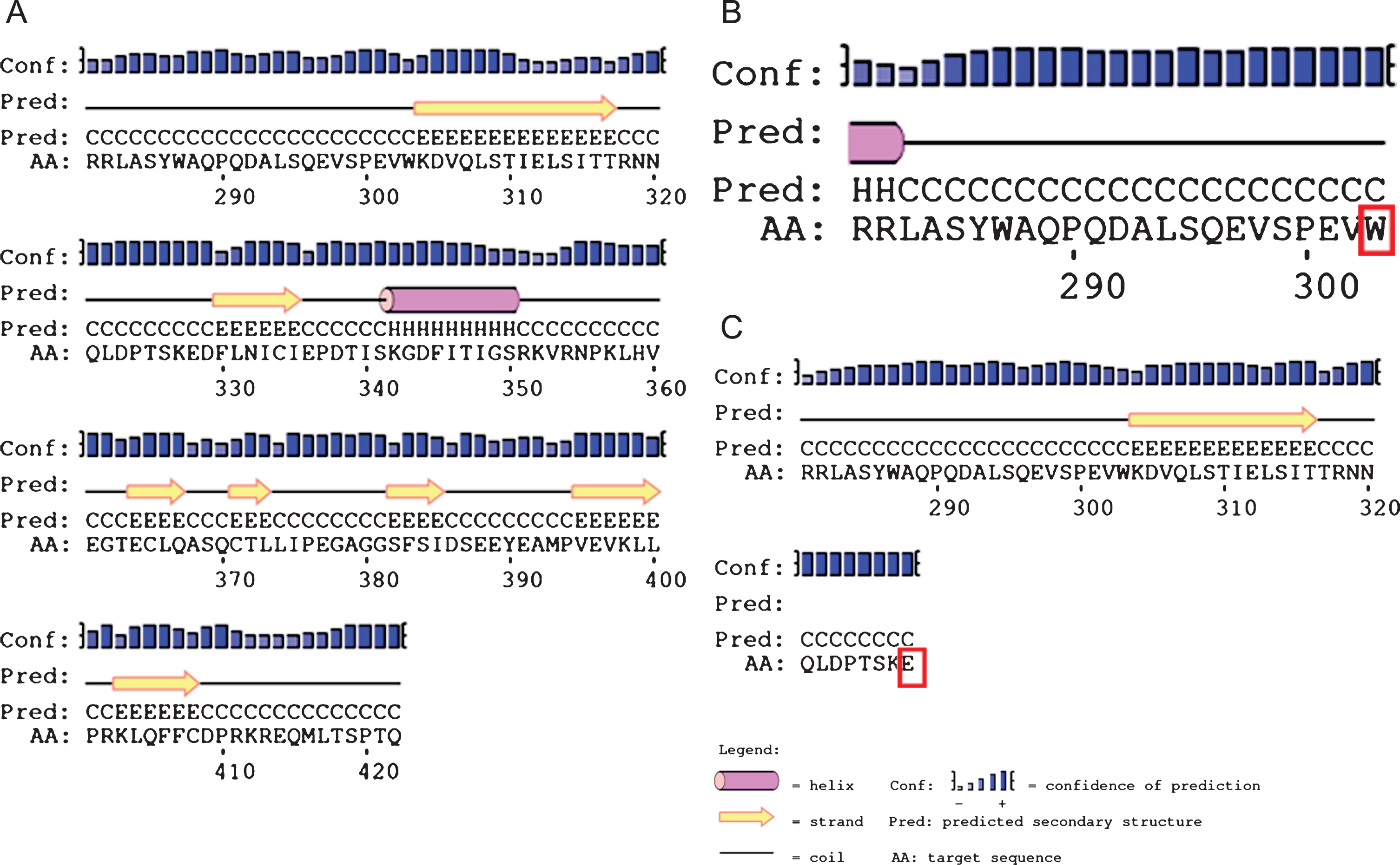 Secondary structure prediction of AGK protein sequence by PSIpred in patient 1 with c.909G>A (p.Trp303Ter) and c.982G>T (p.E328Ter) mutations. The amino acids 281–422, 281–303, 281–328 have been shown in sections A, B and C respectively. Section A represents wild type 422 amino acid protein. Section B and C represents no further formation of protein due to non sense mutation at 303 and 328 amnioacid which are highlighted in red boxes. H, Helix; E, strand; C, coil.
