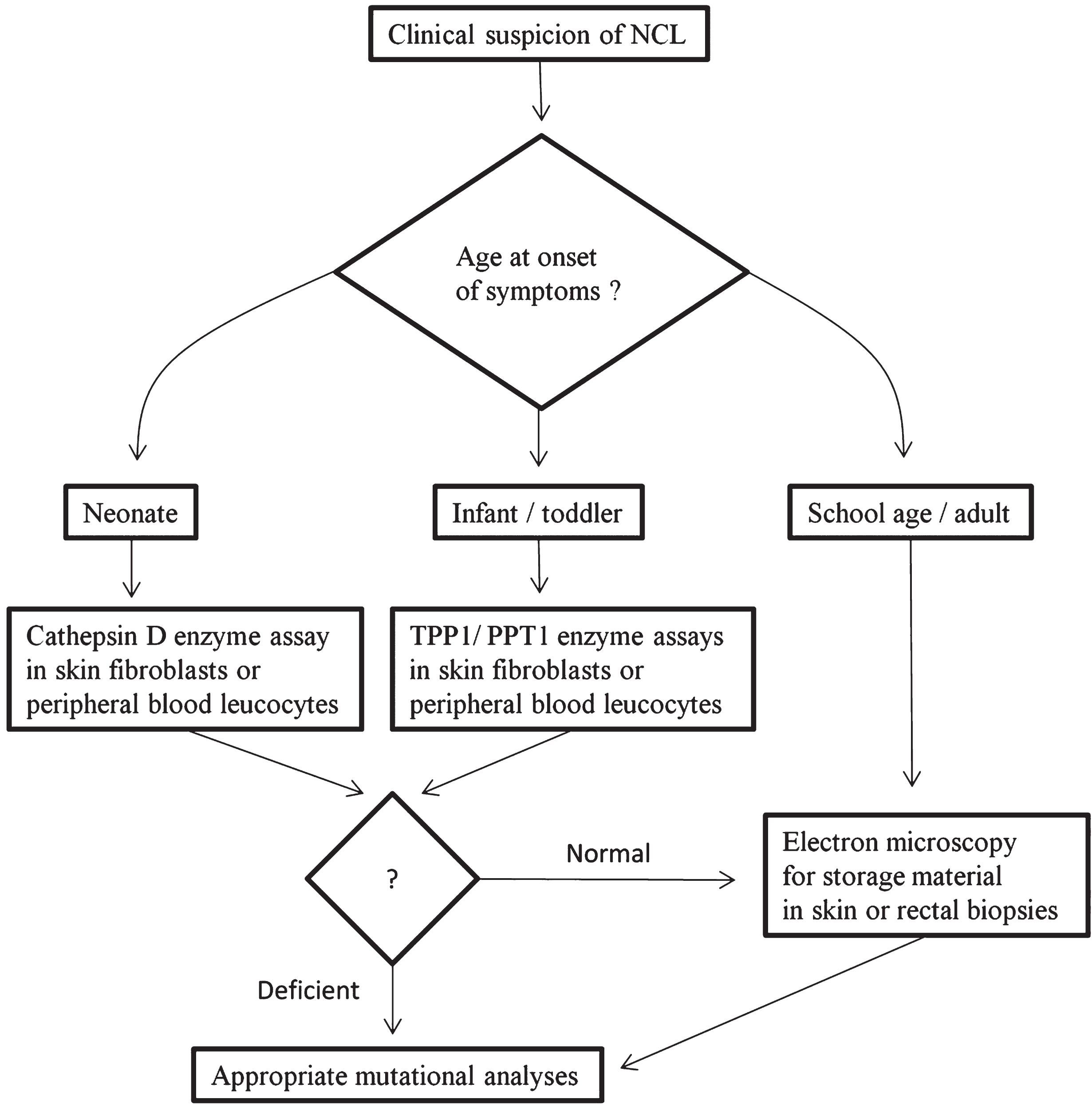 Suggested diagnostic algorithm for Neuronal Ceroid-Lipofuscinoses (NCLs).