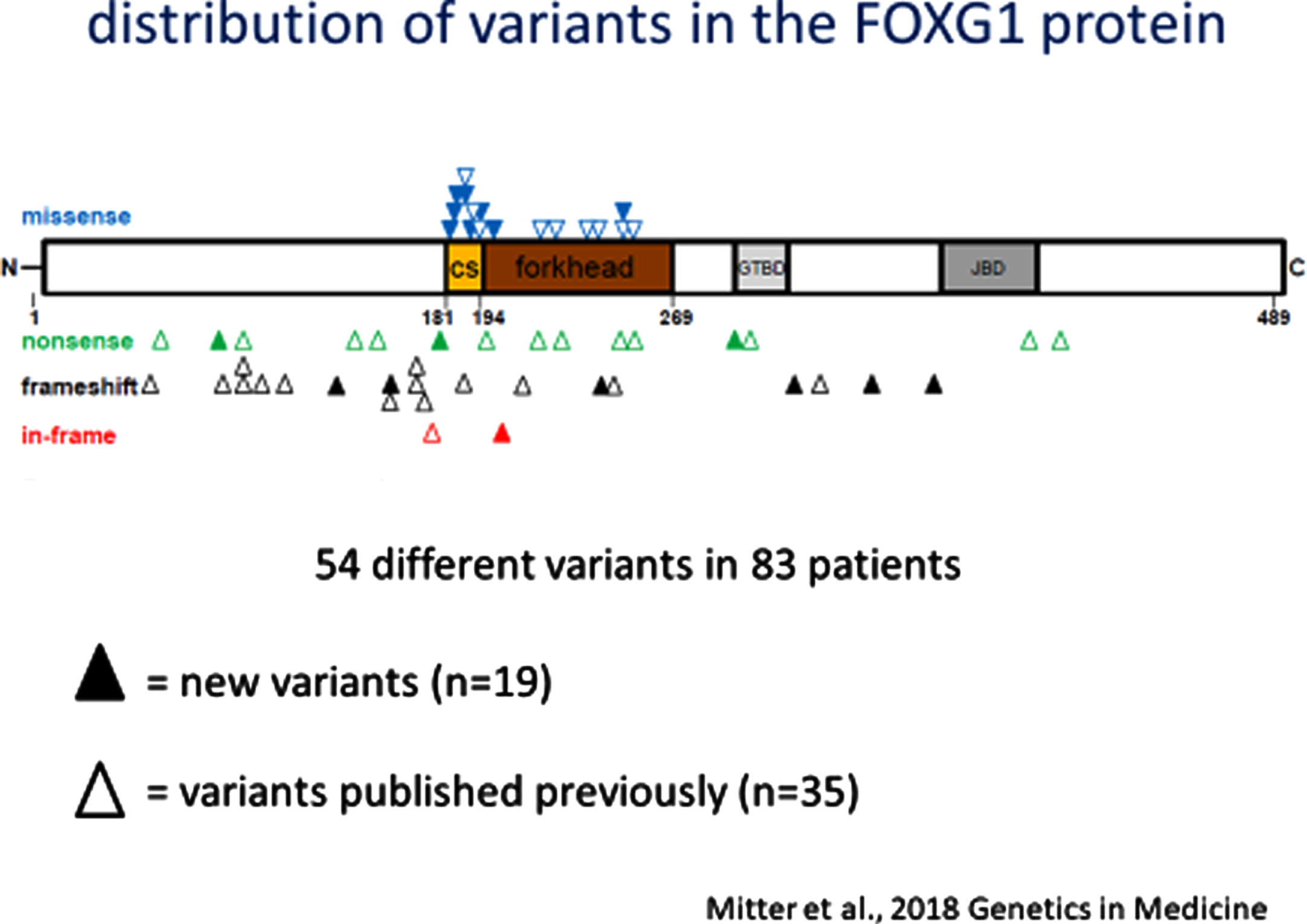 FOXG1 variants across the protein domains.