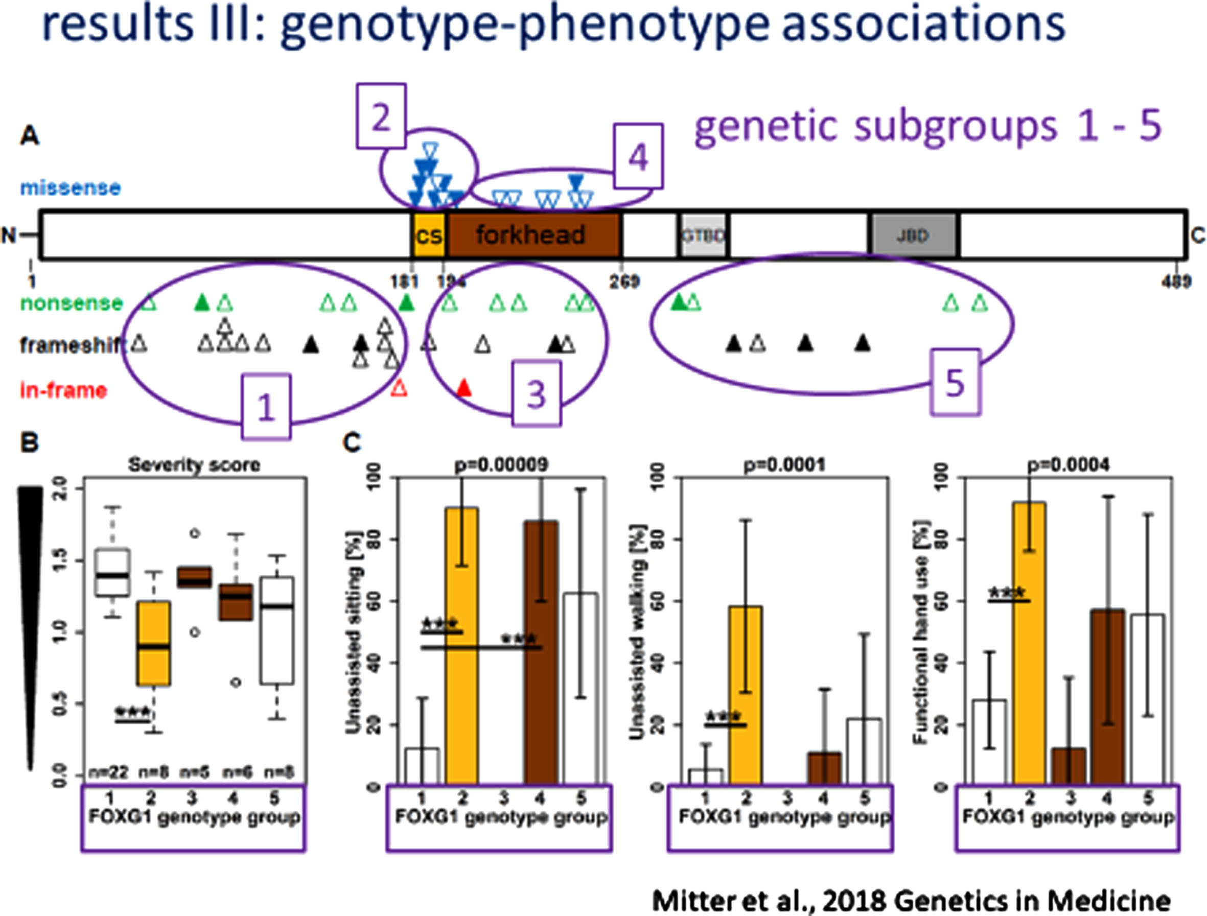 FOXG1 Genotype-Phenotype Correlations.