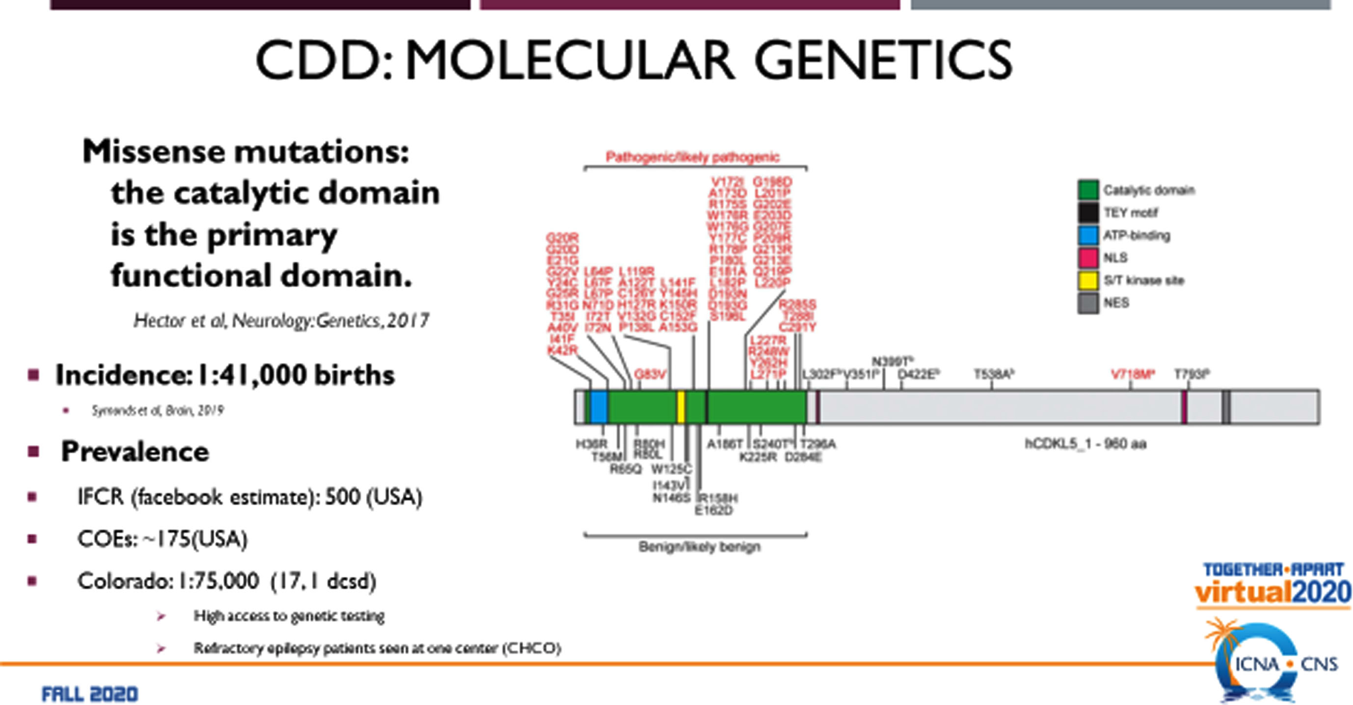 Molecular Genetics of CDKL5 Deficiency Disorder.
