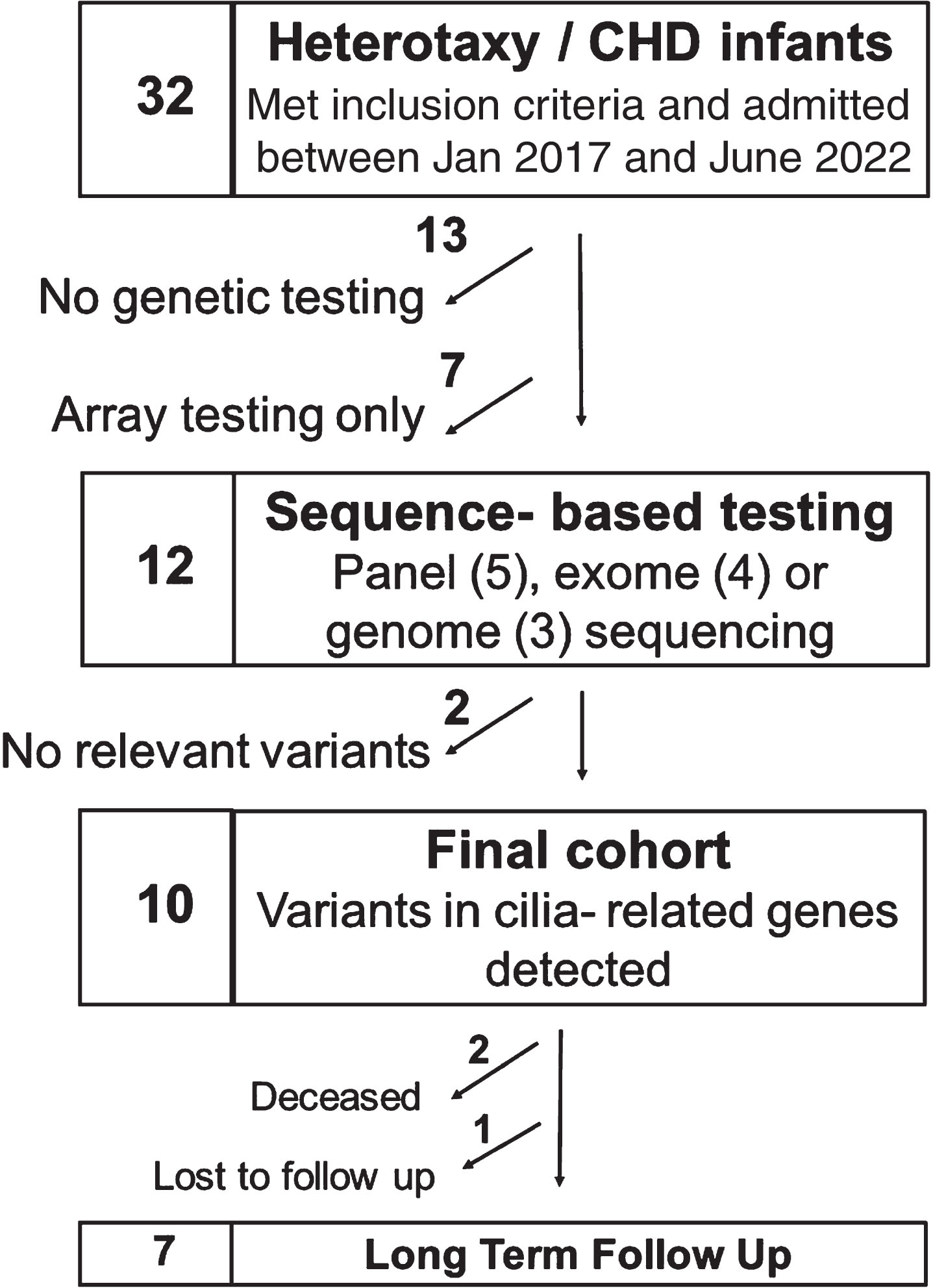 Consort diagram of patients’ genetic testing.