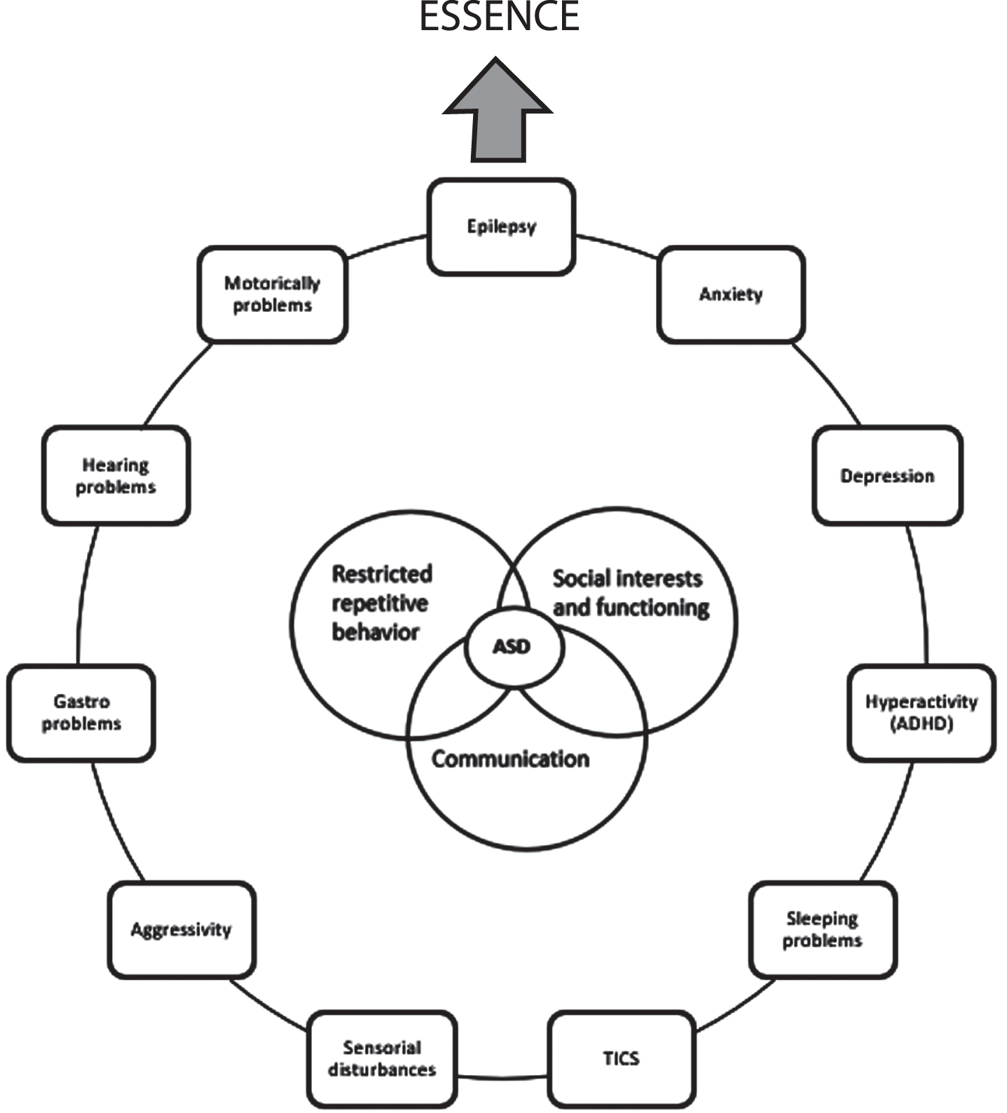 The figure illustrates the core symptoms in autism and together with some of the comorbid clinical factors which can occur together with autism and its relation to the term ESSENCE.