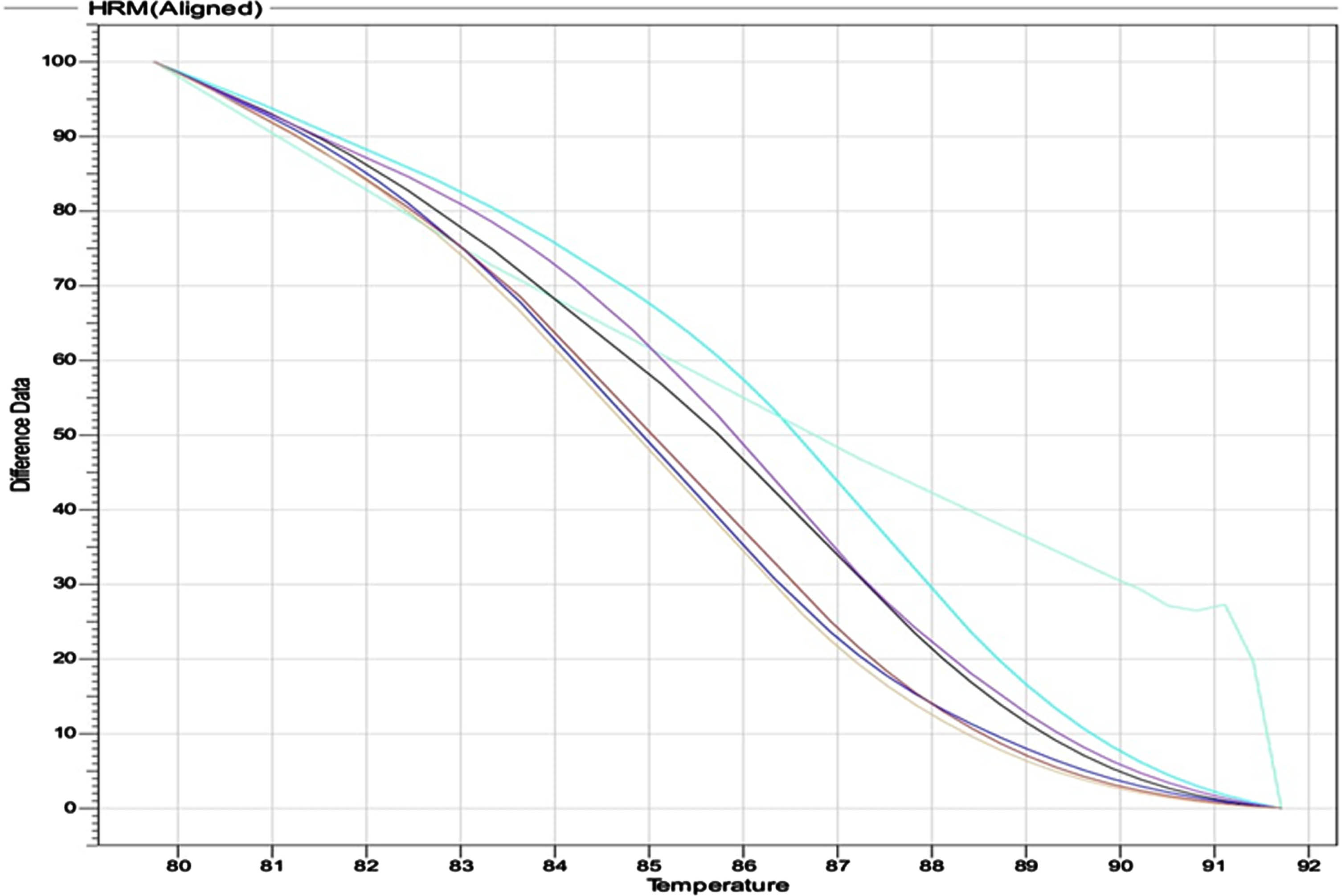 Output of HRM real time for the three genotypes: The Wild CC showing in sky color, AA Mutant in green, and CA hetero in violet.