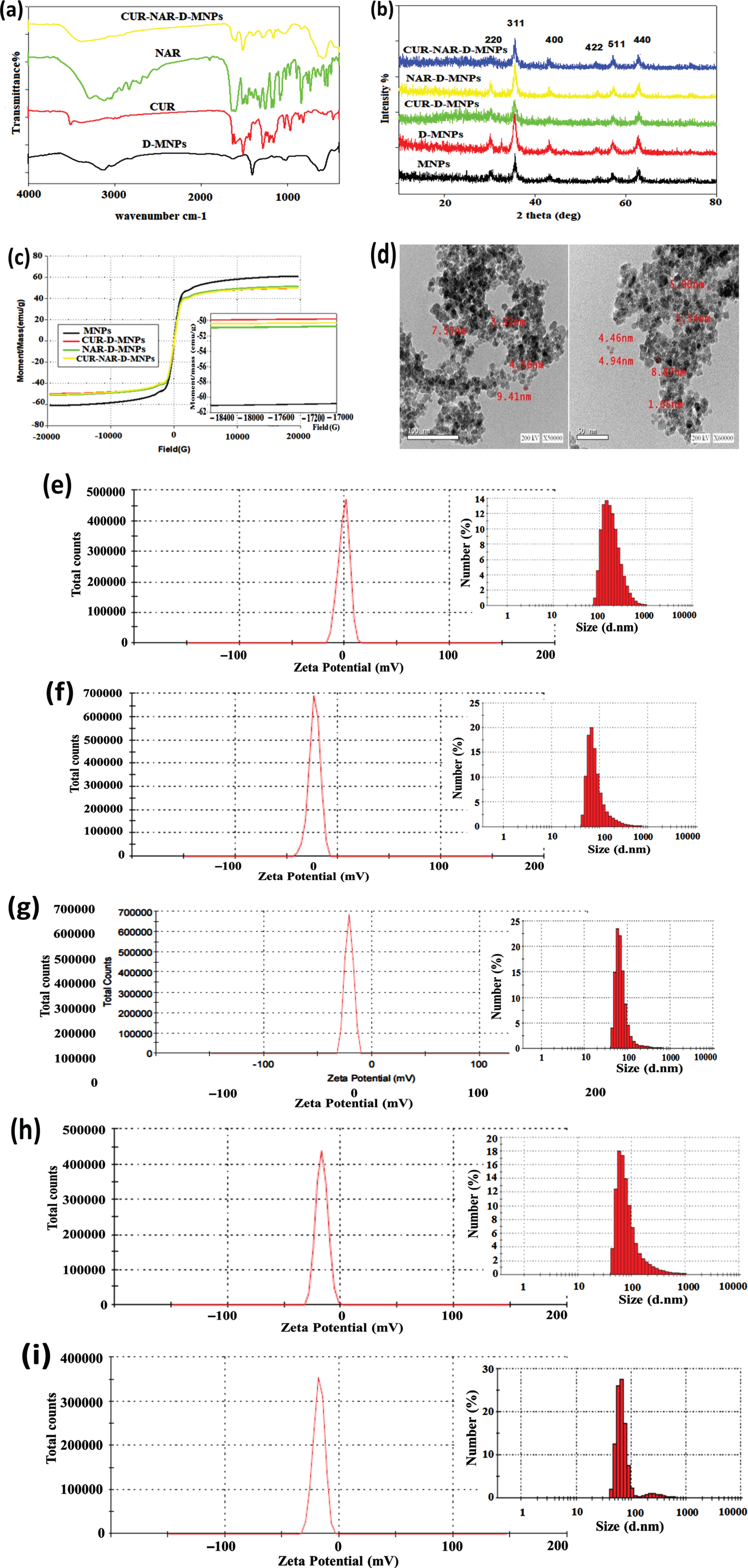 Structural characterization of nanoparticles, (a) FT-IR spectra, (b) XRD analysis, (c) vibrating sample magnetometer (VSM) analysis, (d) TEM micrograph images, (e-i) the hydrodynamic size distributions and zeta potential of the nanoparticles were investigated by DLS analysis. The nano-particles size was about 193 nm in the case of naked MNPs (e). The particle size distribution curves exhibited only one-peak with a relative high polydispersity index indicating the MNPs aggregation in solution. The size of D-MNPs was decreased to 90 nm (f), which could be contributed to the impact of dextran coating on protecting MNPs from aggregation and consequently results in high dispersion capability of MNPs. While the particles size of CUR-D (g), NAR-D (Fig. 1h) and CUR-NAR-D-MNPs (i) are 76, 95 and 88nm, respectively. ZPA estimates the surface charge of nanoparticles and can be indicative to the extent of their stability. Regarding MNPs and D-MNPs, the zeta potential values were –0.896 and –23.1 mV, respectively (e and f). Evidently, coating MNPs with dextran caused a significant decrease in zeta potential. It is considered that the negative value of zeta potential for MNPs pointed out to the existence of OH-groups on the surface of MNPs. Thereby, reducing in surface charge after dextran coating confirming the presence of hydrogen bonding between the O-groups of dextran and hydroxyl group of MNPs. ZPA for CUR-D-MNP –21.2 mV (g), NRG-D-MNP –16.9 mV (h) and CUR-NAR-D-MNP –17.8 mV (i).