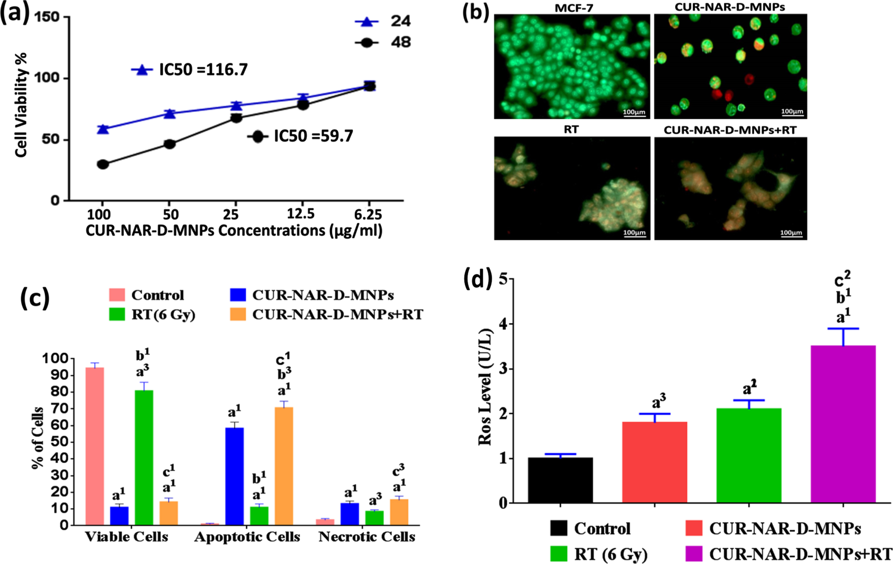 (a) Dose dependent cytotoxicity and IC50 values of CUR-NAR-D-MNPs on MCF-7 cell lines at 24 h and 48 h treatment. (b) Fluorescence microscopic images for viable cells, apoptotic cells and necrotic cells of different groups at 48 hr. (c) bar chart of %of viable, apoptotic, necrotic cells at 48 h, (d) bar chart of ROS level. Values expressed as the mean±SEM, n = 5. a1p < 0.001, a3p < 0.05 vs. control; b1p < 0.001, b3p < 0.05 vs. CUR-NAR-D-MNPs group; c1p < 0.001, c3p < 0.05 vs. RT group.