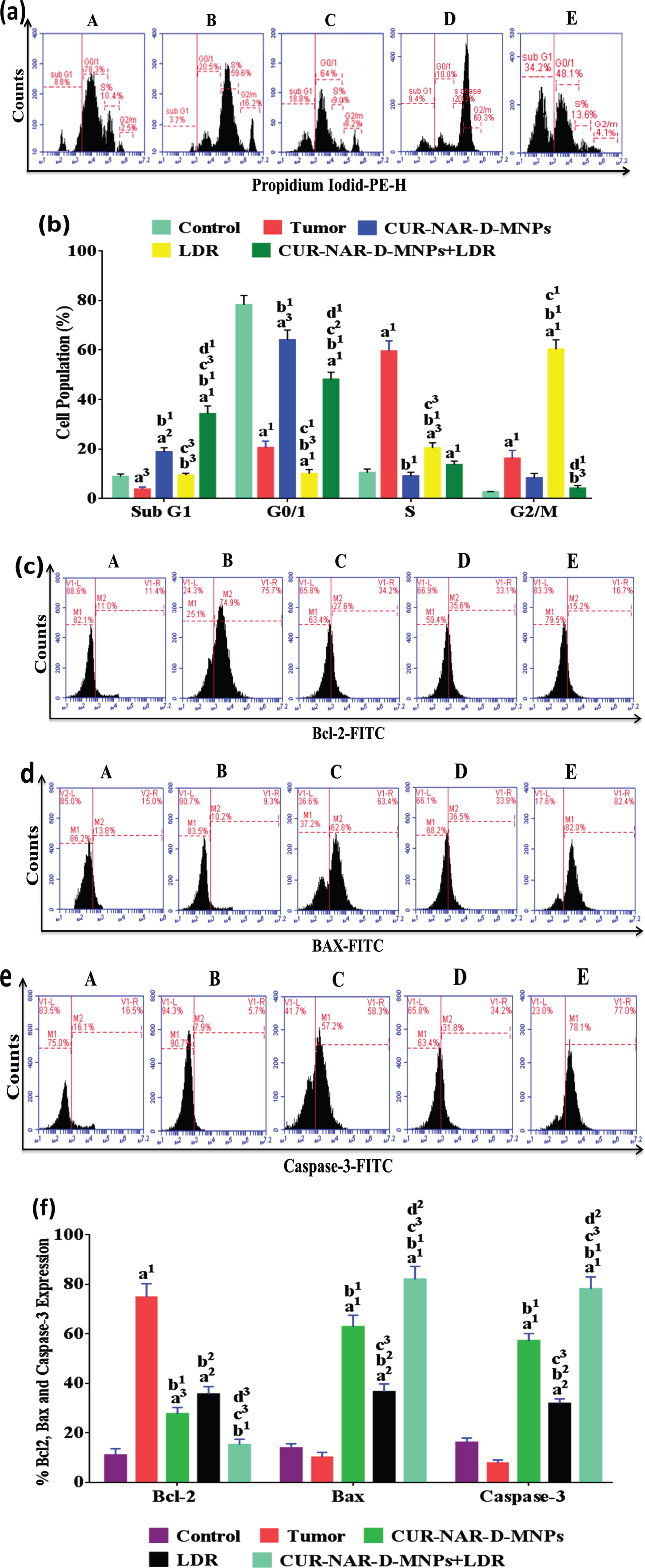 Antitumor mechanism induced by CUR-NAR-D-MNPs and/or LDR in rats via cell cycle arrest and apoptosis. (a) Flow cytometric images of cell cycle, (b) bar chart of of cell cycle, (c, d and e) Flow cytometric images of Bcl2, Bax and Caspase-3 respectively, (f) bar chart of accumulated data of Bcl2, Bax and Caspase-3. A, B, C, D and E) represent control, Tumor, CUR-NAR-D-MNPs, LDR and combination groups. The results presented as the mean±SEM, n = 5. a1p < 0.001, a2p < 0.01, a3p < 0.05 vs. control; b1p < 0.001, b2p < 0.01, b3p < 0.05 vs. Tumor group; c1p < 0.001, c2p < 0.01, c3p < 0.05 vs. CUR-NAR-D-MNPs group, d1p < 0.001, d2p < 0.01, d3p < 0.05 vs. LDR.
