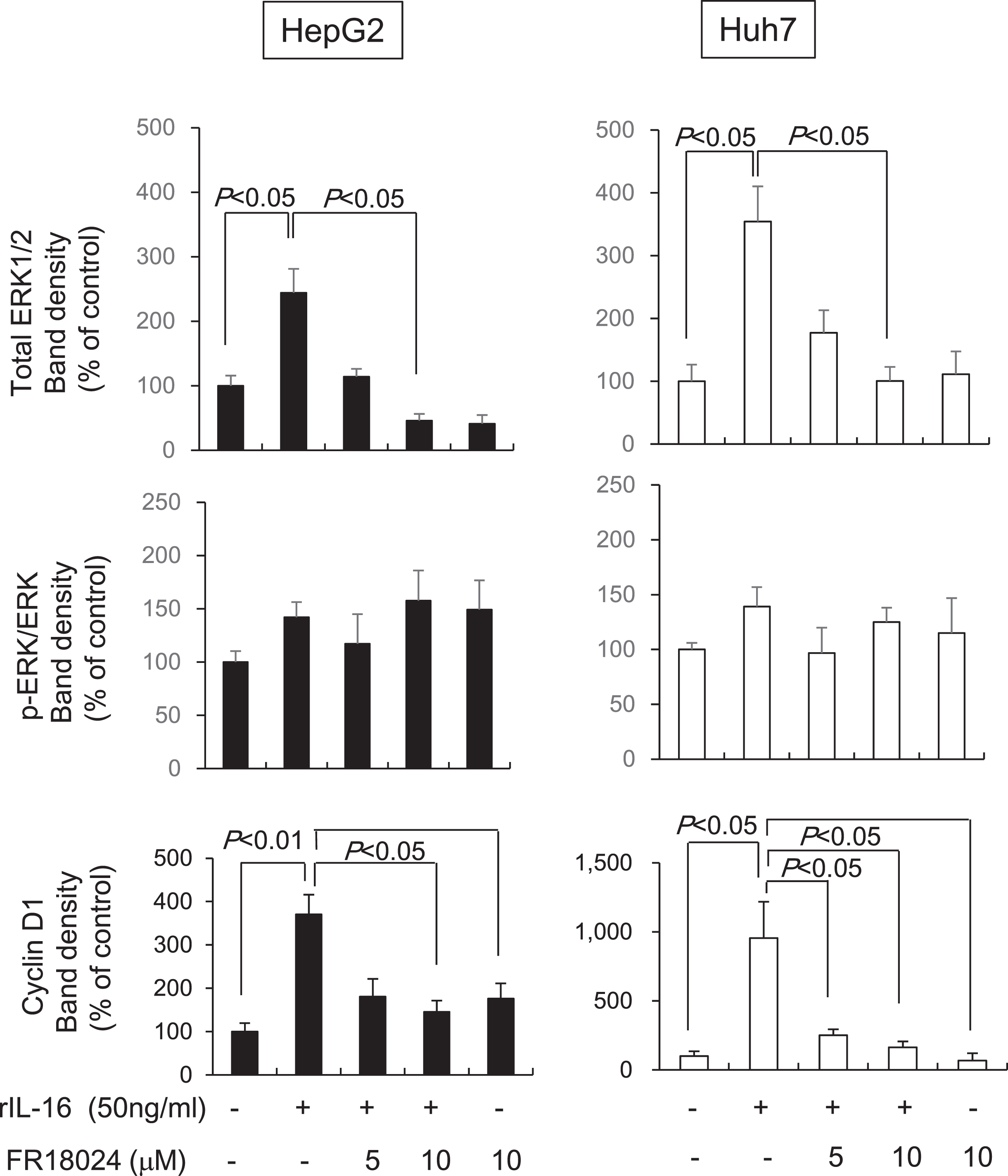 The ERK inhibitor, FR18024, decreases the rIL-16-induced increases of ERK1/2 and cyclin D1 protein expression in HepG2 and Huh7 cells. The two HCC cell lines were pretreated with 50 ng/mL FR18024 followed by a 48-h incubation with rIL-16. ERK1/2 and cyclin D1 protein expression in HepG2 and Huh7 cells treated with IL-16 were determined by western blot analysis. α-Tubulin was used as a loading control and to normalize protein intensities. Data represent six independent experiments. N, number of samples.