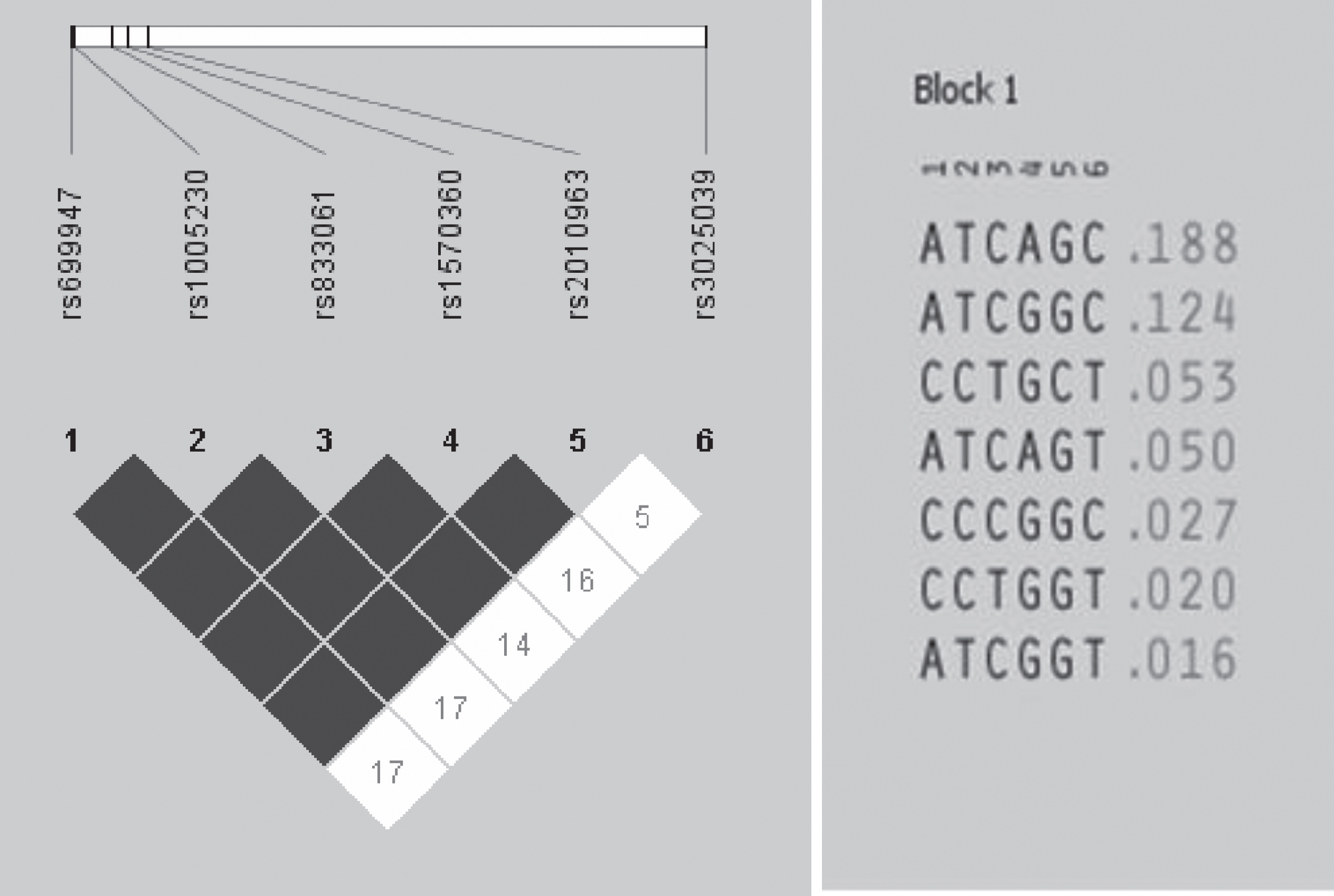 Linkage disequilibrium plot for diffuse large B cell lymphoma patients of single nucleotide variants (SNVs) in the vascular endothelial growth factor-A gene VEGFA -2578C/A (1, rs699947), -2489C/T (2, rs1005230), -460C/T (3, rs833061), -1154G/A (4, rs1570360), -634G/C (5, rs2010963) and +936C/T (6, rs3025039).