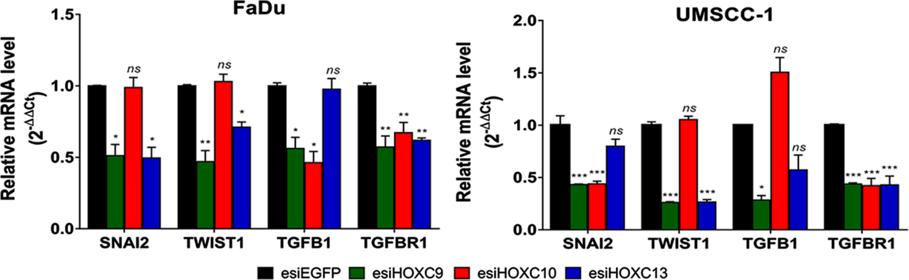 Effect of selected HOX gene knockdowns on the expression of their putative transcriptional targets involved with the EMT process. Relative expression of HOX target genes (SNAI2, TWIST1, TGFB1, and TGFBR1), after transfection with esiEGFG (control), esiHOXC9, esiHOXC10 or esiHOXC13. The mRNA level was detected by RT-qPCR, in FaDu (left) and UMSCC-1 (right), and the relative expression was calculated with the 2–Δ
ΔCt method, using TBP as endogenous control and the expression in the sample from control cells (transfected with esiEGFP) as reference/calibrator. Kruskal-Wallis followed by Dunn’s post hoc test was used for statistical analysis. Each experiment was performed three times and each time in triplicate. ns: not significant,  *p <  #x003C;<  #x200A;0.05,  **p <  #x003C;<  #x200A;0.01 and  ***p <  #x003C;<  #x200A;0.001.