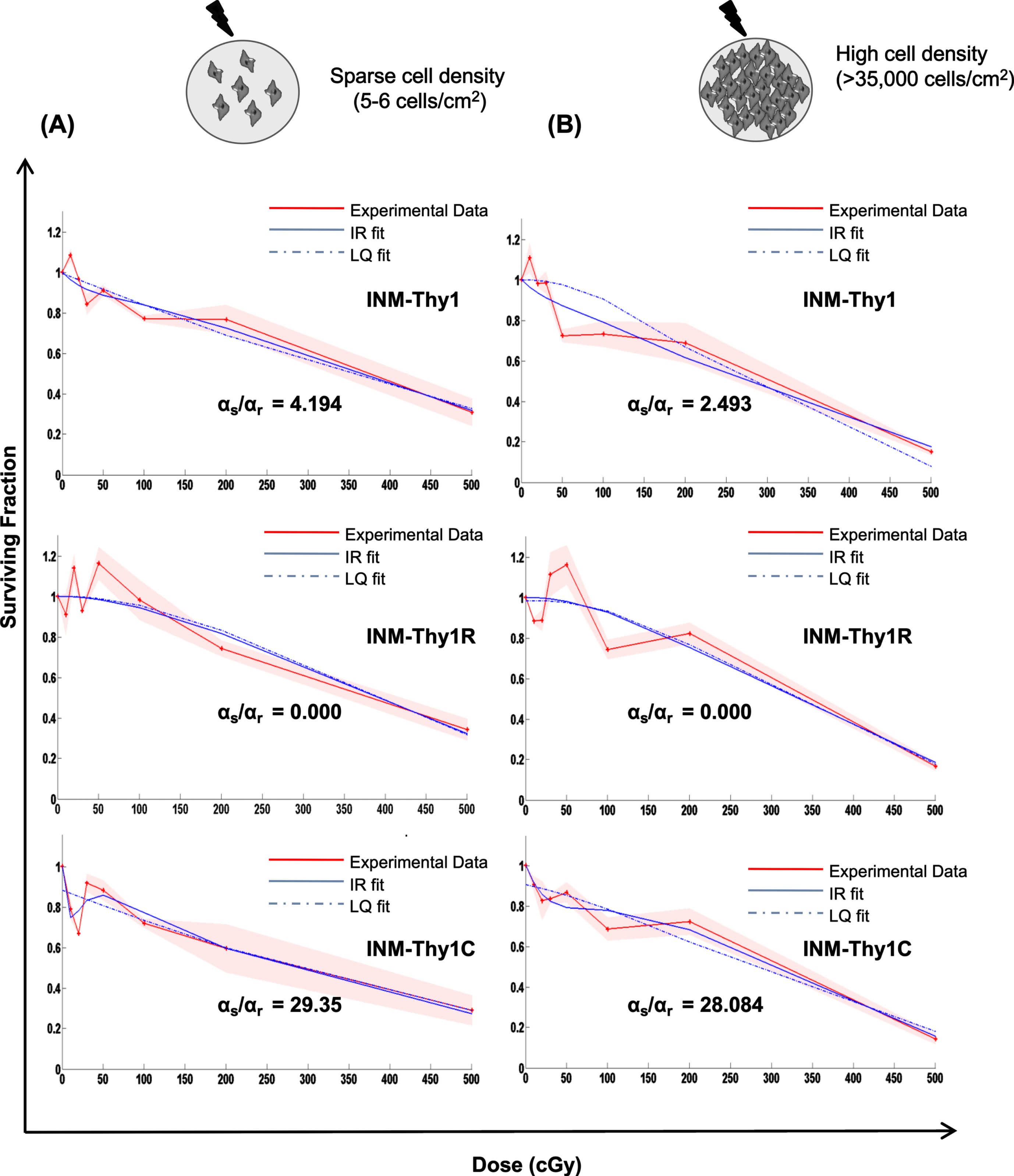 Low-dose radiation survival dose response under sparse cultures v/s high cell density: Clonogenic cell survival dose response of the parental INM-Thy1 and transformed strains (INM-Thy1R and INM-Thy1C), when cells were plated at low (a) and high (b) cell density. The survival curve was fitted to the LQ (dotted blue line) and IR (smooth blue line) models, along with the experimental data (smooth red line), the respective αs and αr values are shown. Each data point is the mean of nine observations from three independent experiments, and the color shade represents standard deviation.