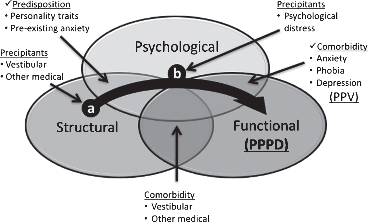 Putative mechanisms of PPPD. PPPD is thought to develop via a dynamic process (arrow). In about 70% of patients, a structural vestibular syndrome (e.g., vestibular neuritis, BPPV) or other medical condition precipitates PPPD (black dot, a) [79]. Individuals who respond to the precipitating event with a high level of anxiety and body vigilance appear likely to progress to PPPD (i.e., to traverse the arrow from the initial structural event through this transient psychological stage to the chronic functional disorder) [23, 28, 30]. Anxiety-related personality traits or pre-existing anxiety disorders appear to increase the risk of developing PPPD [7, 76, 80]. In about 30% of patients, PPPD begins with acute psychological distress (black dot, b) and then progresses to the functional disorder [79]. PPPD may co-exist with structural or psychological illnesses [24], placing patients in the intersections of the functional and psychological or structural ellipses. Anxiety-related personality traits and psychological symptoms (check marks, ✓) are incorporated into PPV [12, 13], whereas they are considered predisposing factors and comorbid symptoms, respectively, in PPPD. PPPD = Persistent postural-perceptual dizziness. PPV = Phobic postural vertigo.